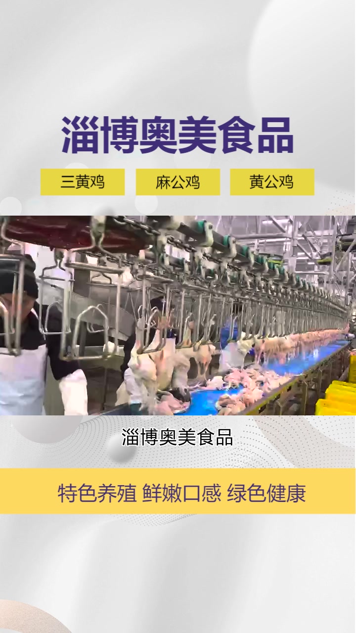 冷鲜三黄鸡价格,我们注重研发创新,不断推出新品,满足市场的变