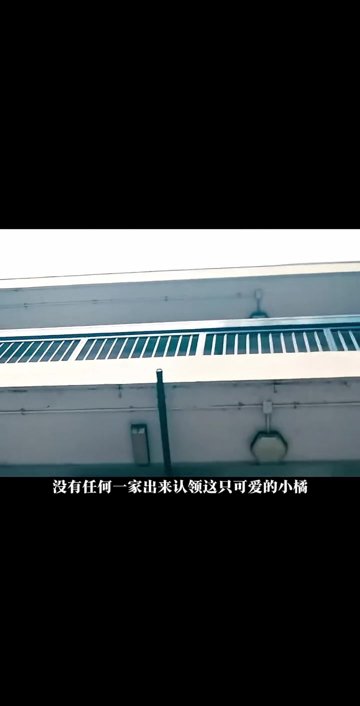 分享视频