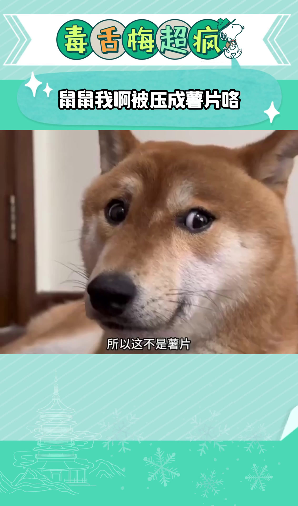 鼠鼠我啊被压成薯片咯