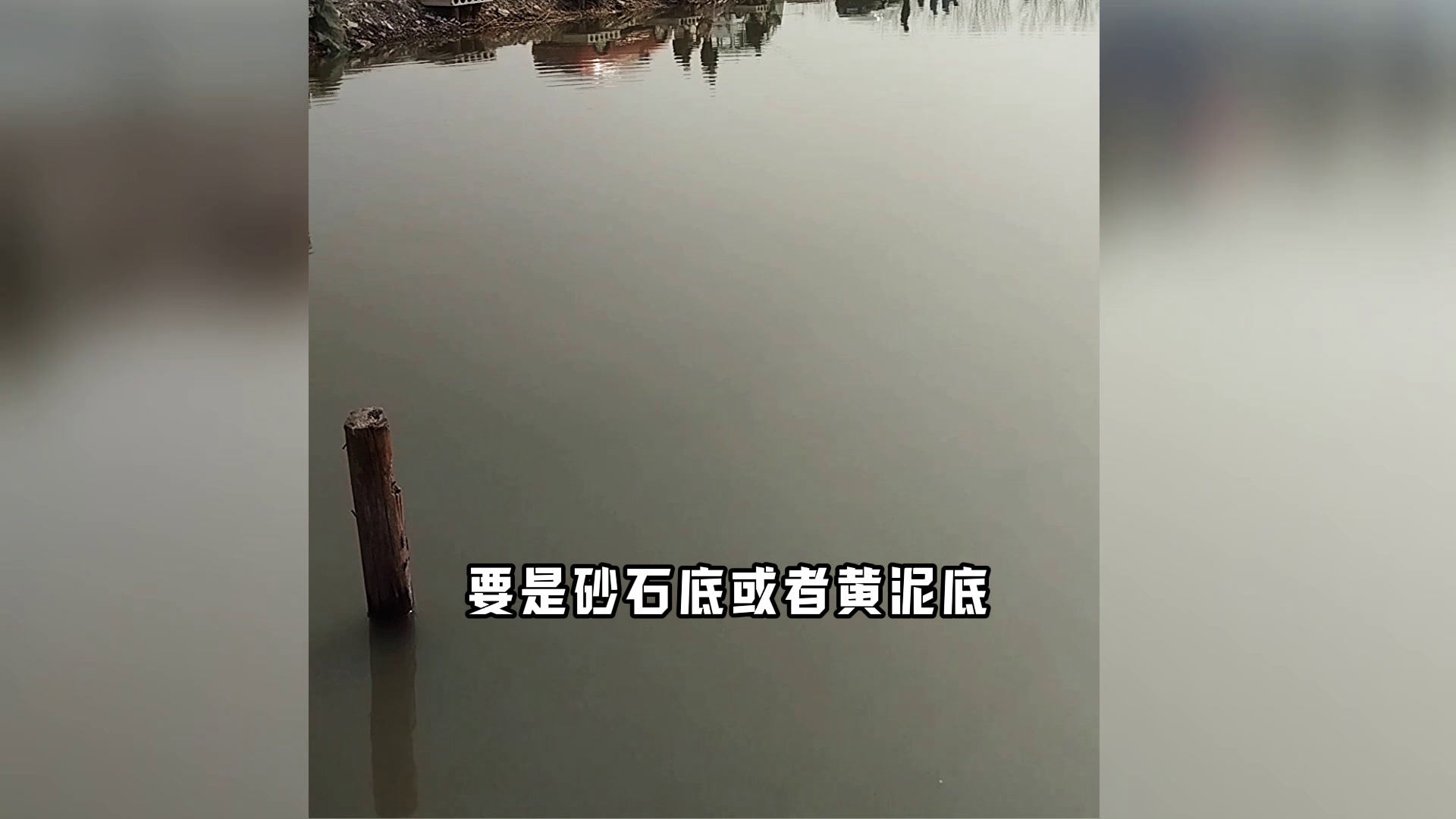 春季黑坑爆护秘籍!4招让你狂拉鲤鱼上岸,水质/钓位/饵料/调漂