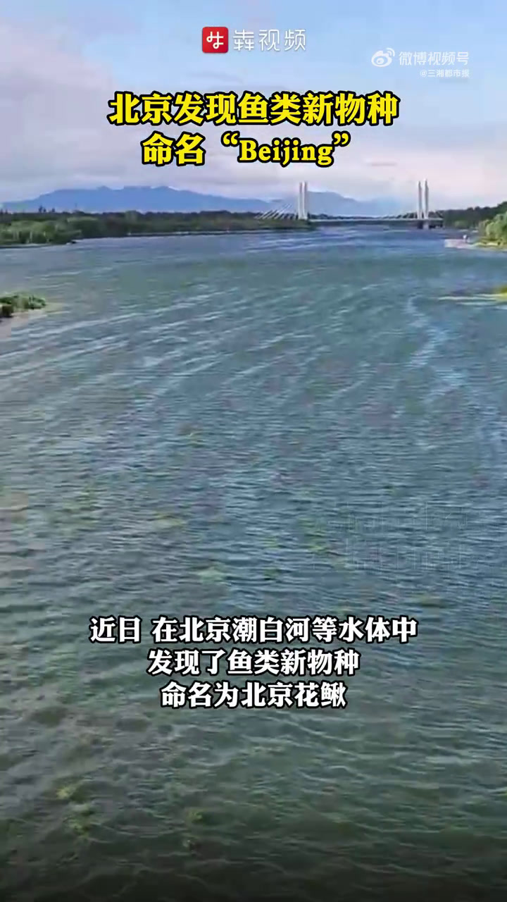 「首次以“Beijing”命名,北京发现鱼类新物种以Beijing命名」2月28日,据澎湃