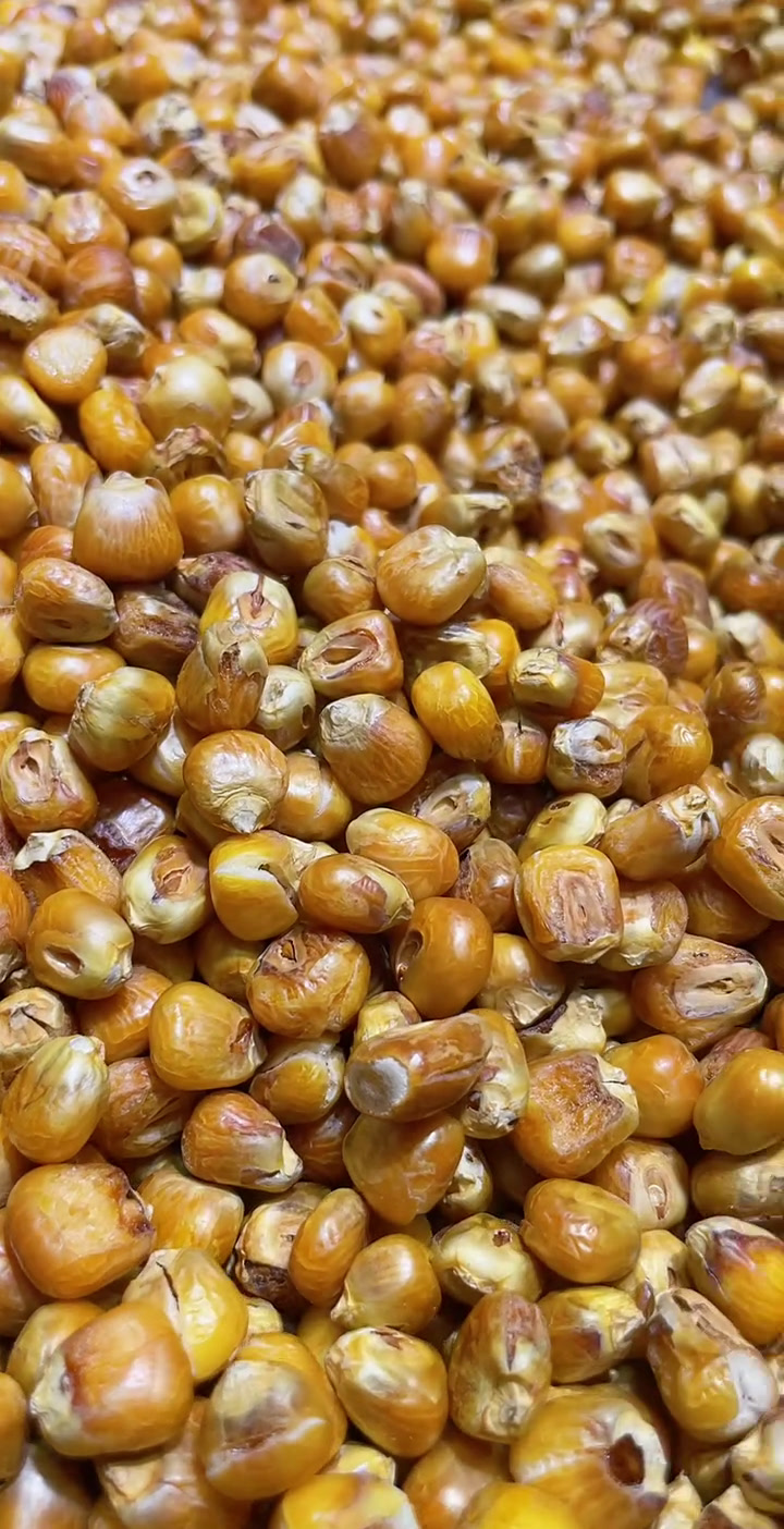 家乡味道 无糖哑巴豆爆米花 糯玉米烀完炒 嘎嘣脆 老味道的爆米花