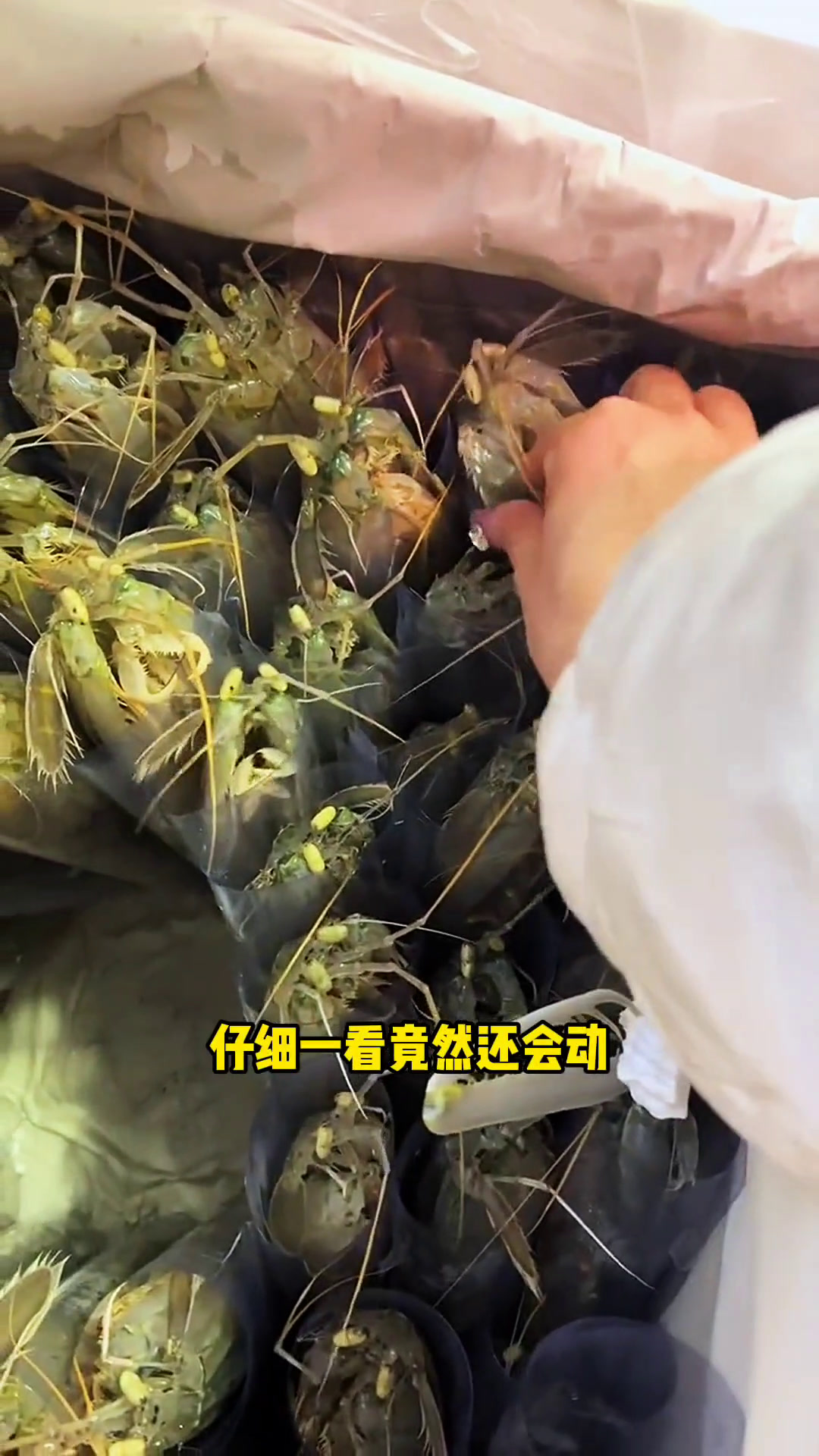先虾竖着放,后虾一定棒!