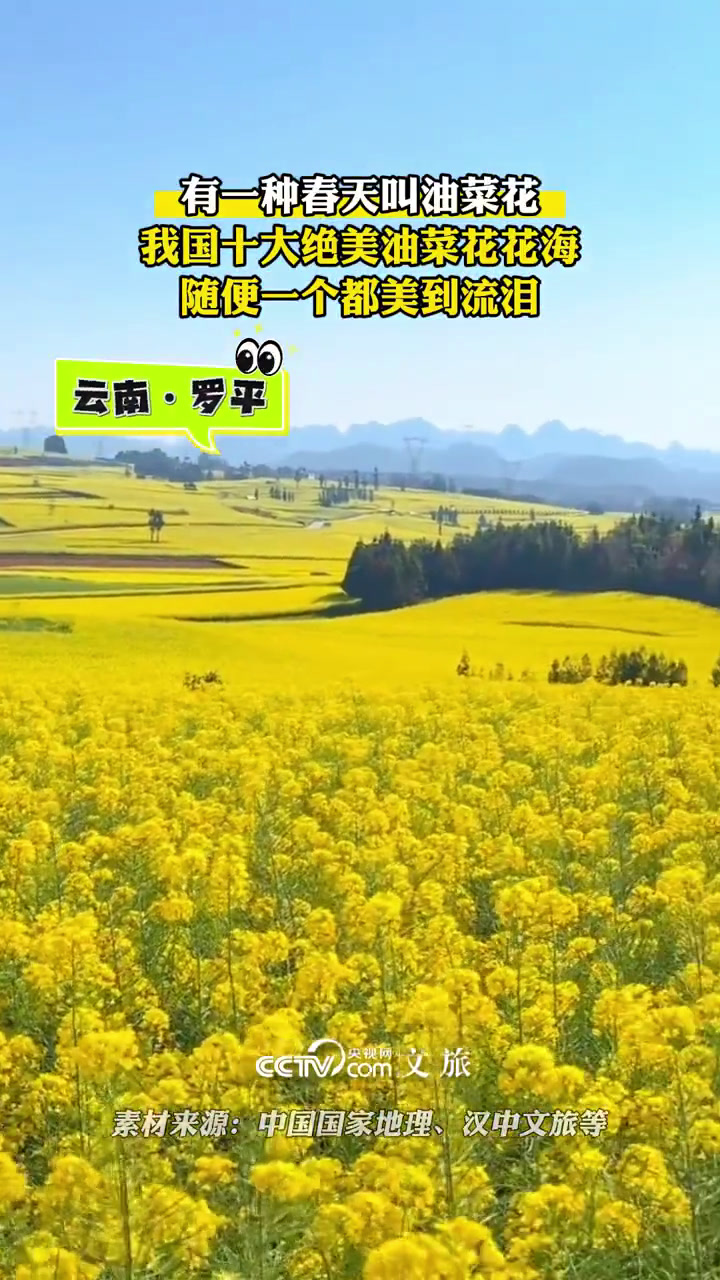 云南罗平、贵州万峰林、江西婺源、江苏兴化、陕西汉中……有一种春天叫做油菜花开,这些绝美的油
