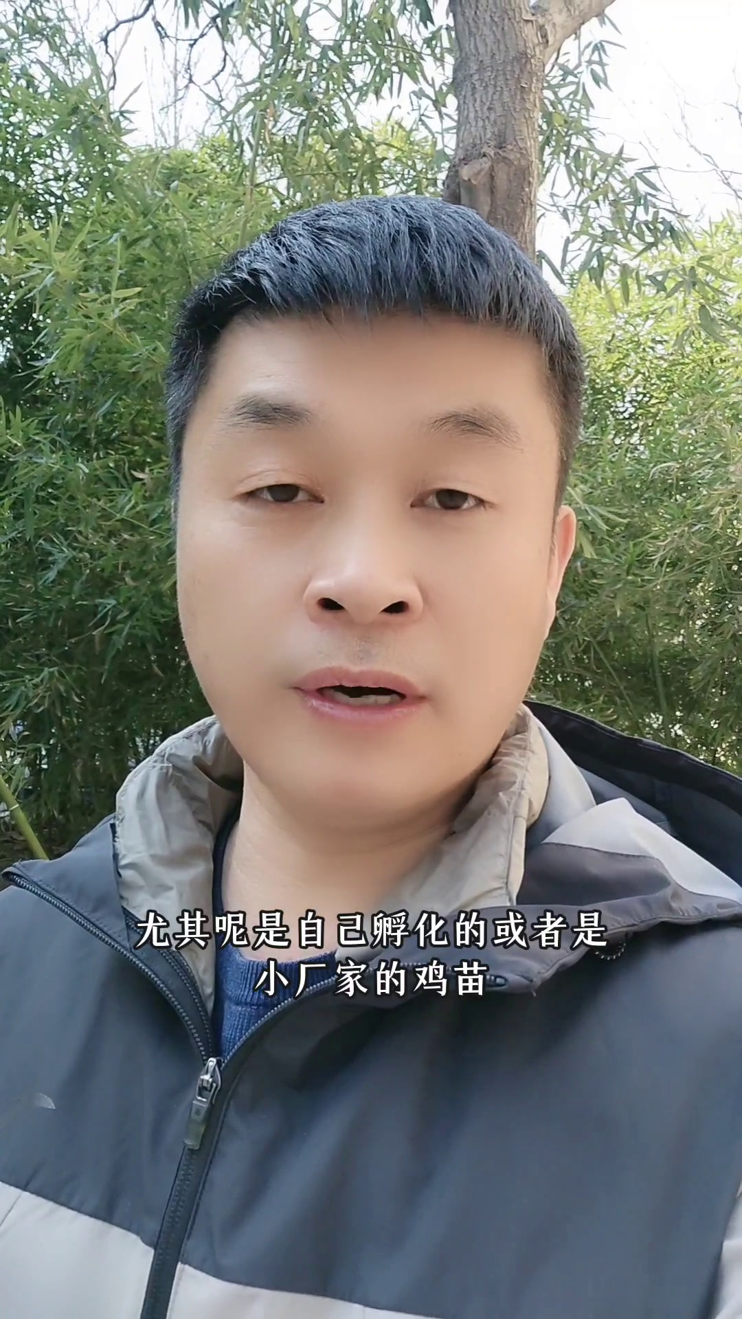 养鸡育雏程序用药,这四个千万别省