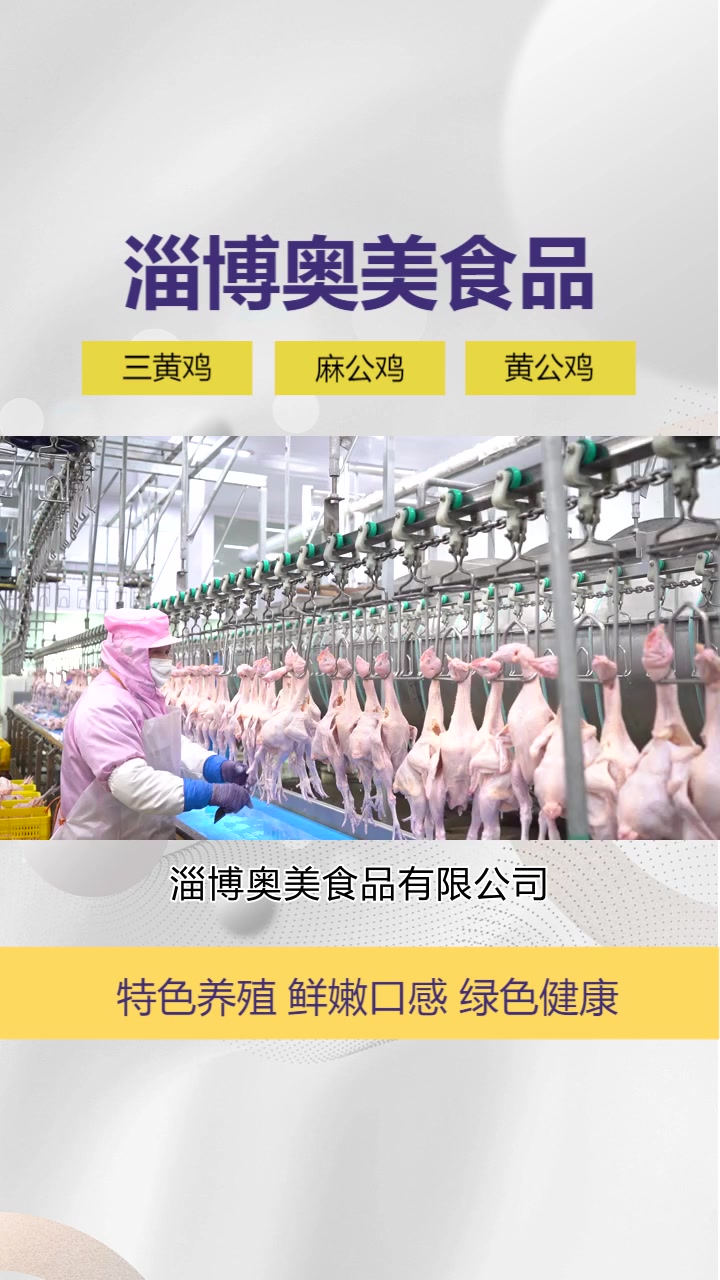 冷冻817三黄鸡价格,淄博奥美食品有限公司坚守诚信经营的原则