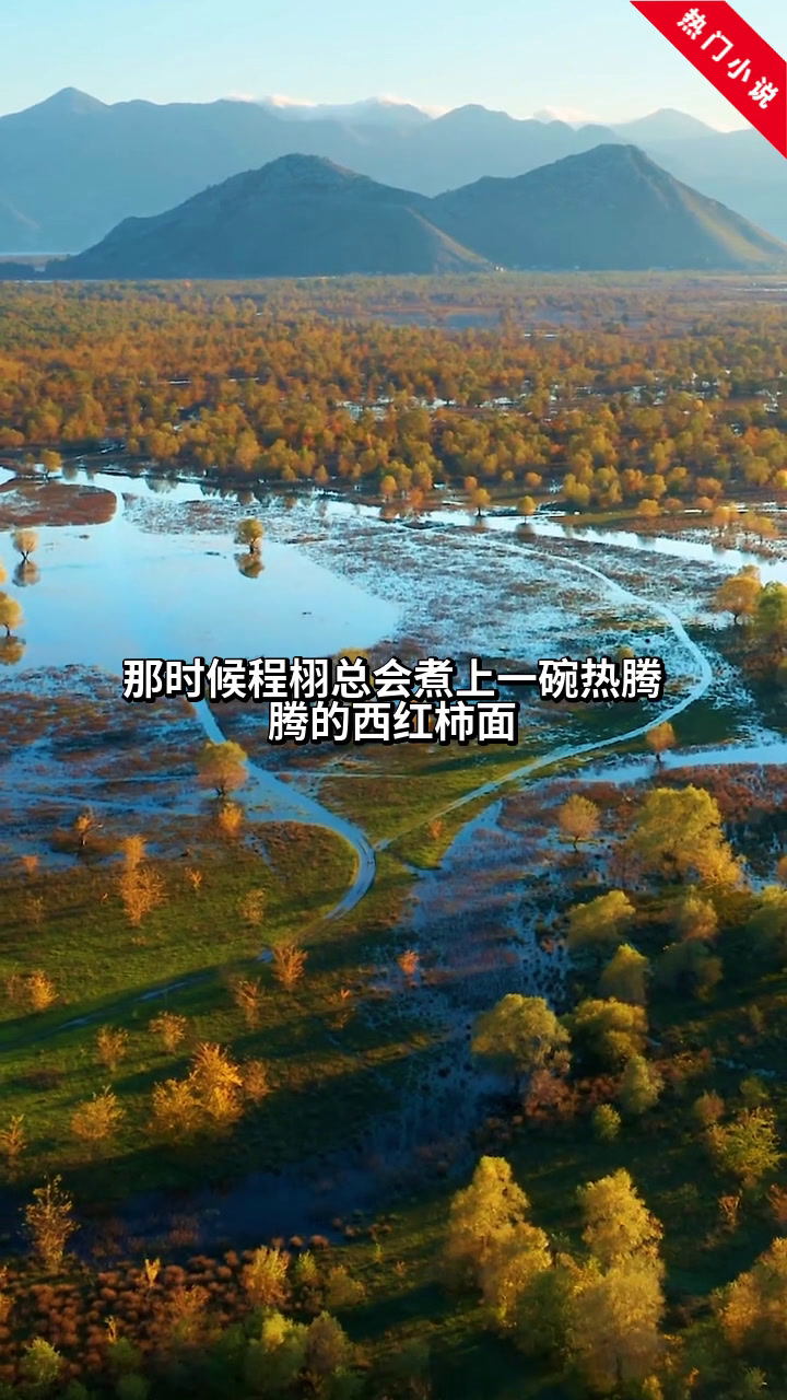 老公婚内背叛,还怪我疑神疑鬼3