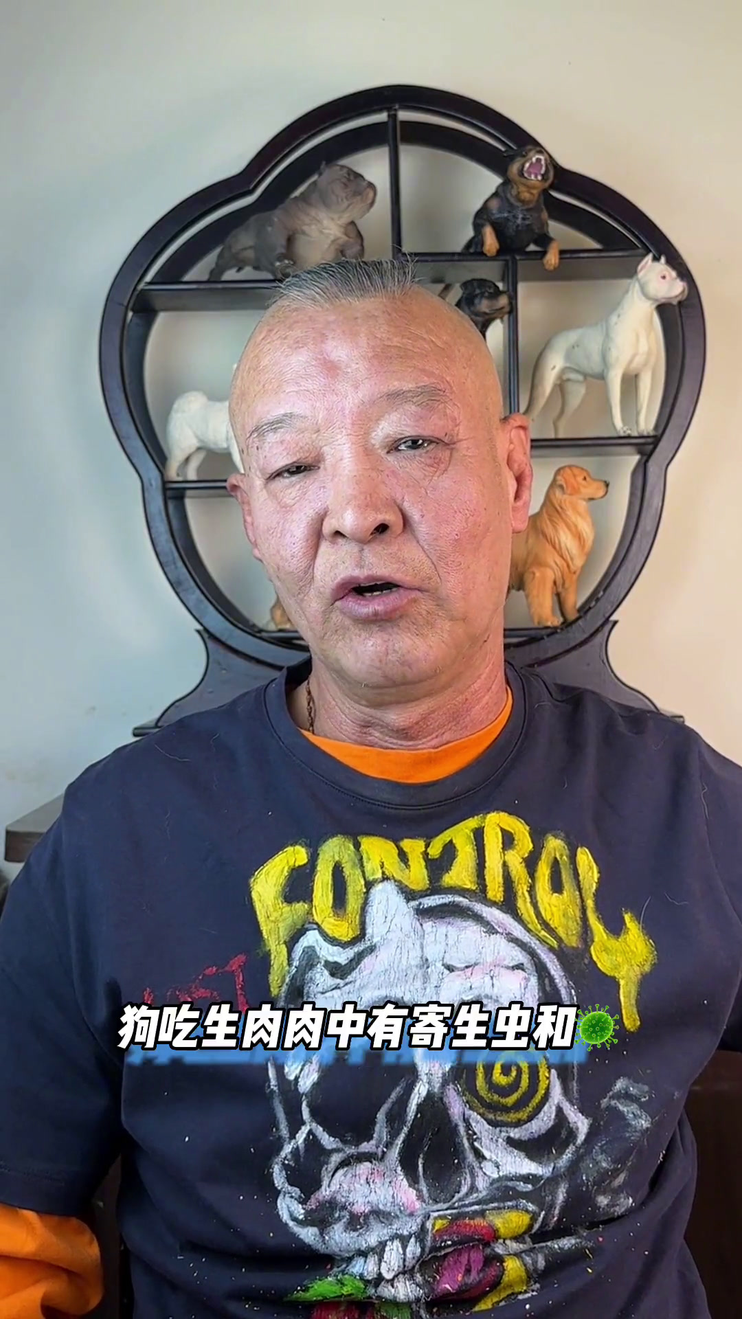 狗到底能不能吃生肉