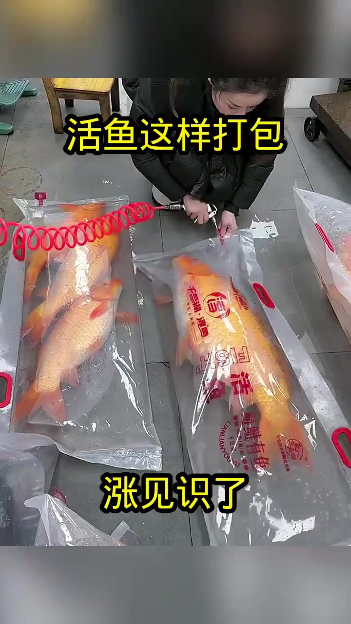 活鱼这样打包,涨见识了!