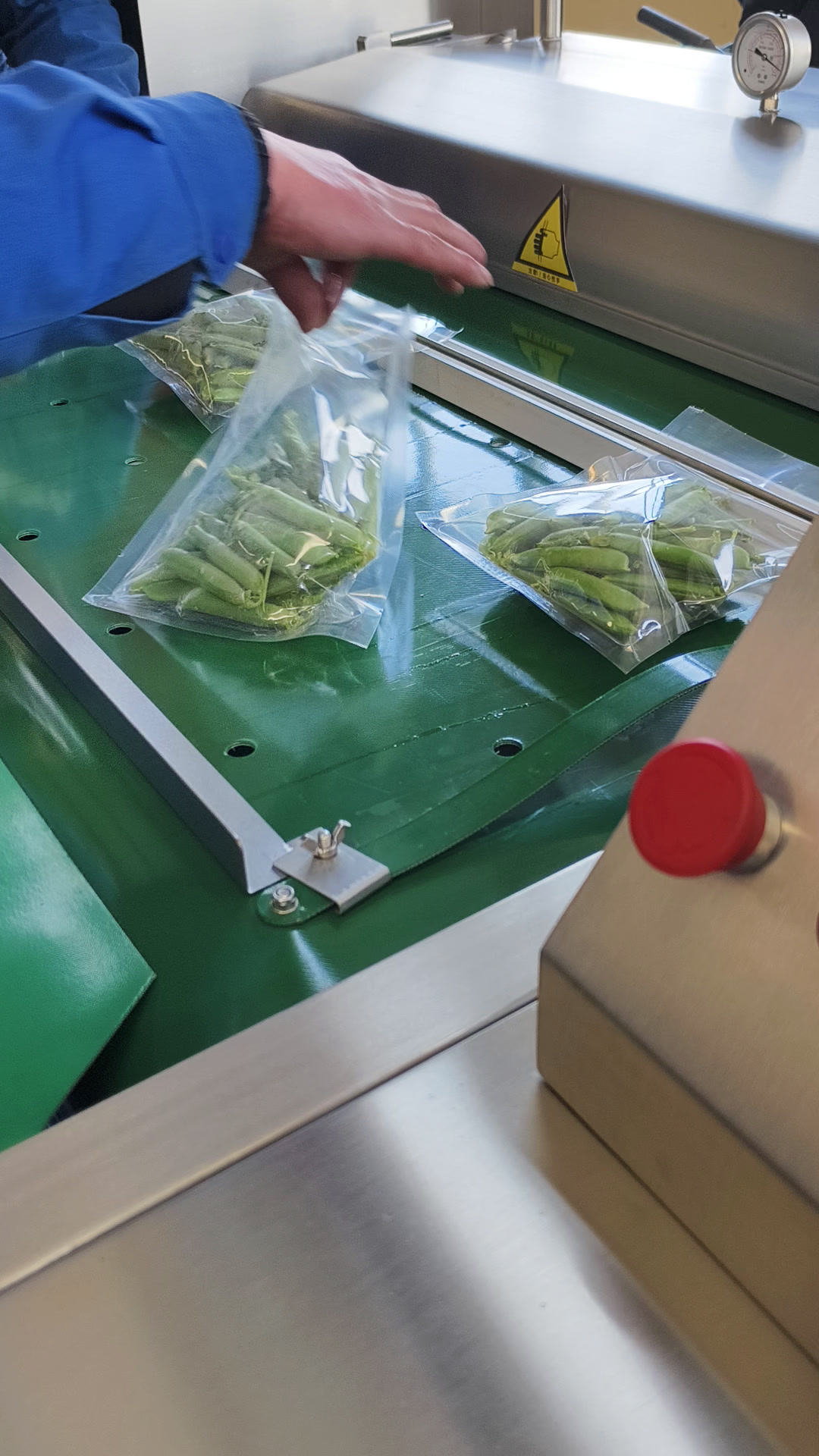 豌豆荚加工生产线净菜加工设备