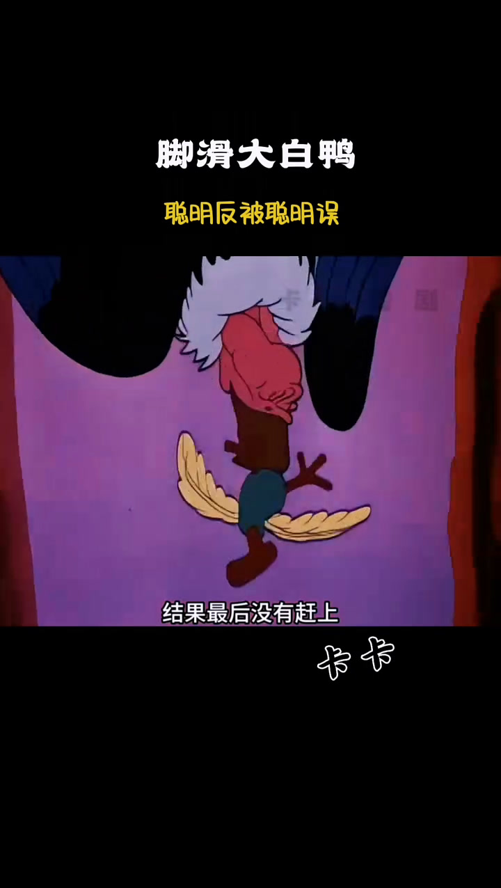 这只大白鸭