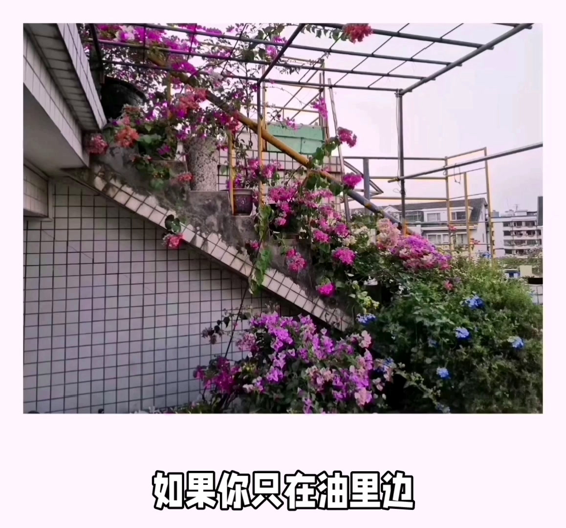 汤姆克鲁斯:无限死亡重启的爱