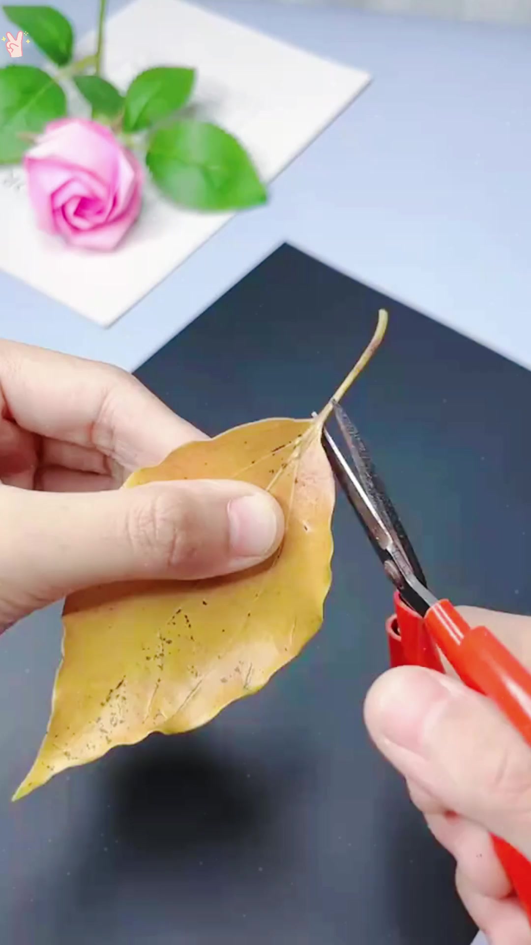 如何做出漂亮的美人鱼树叶画,快来试试啥技巧?