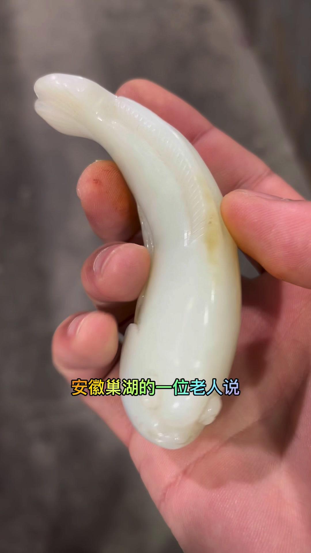 安徽巢湖老人带来会游的鱼