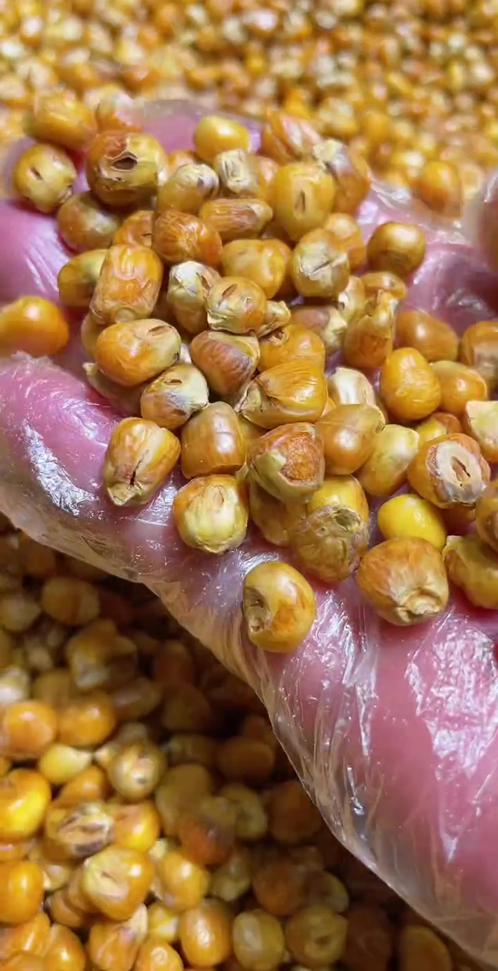 家乡味道 无糖哑巴豆爆米花 嘎嘣脆 糯玉米烀完沙子炒 每袋400克