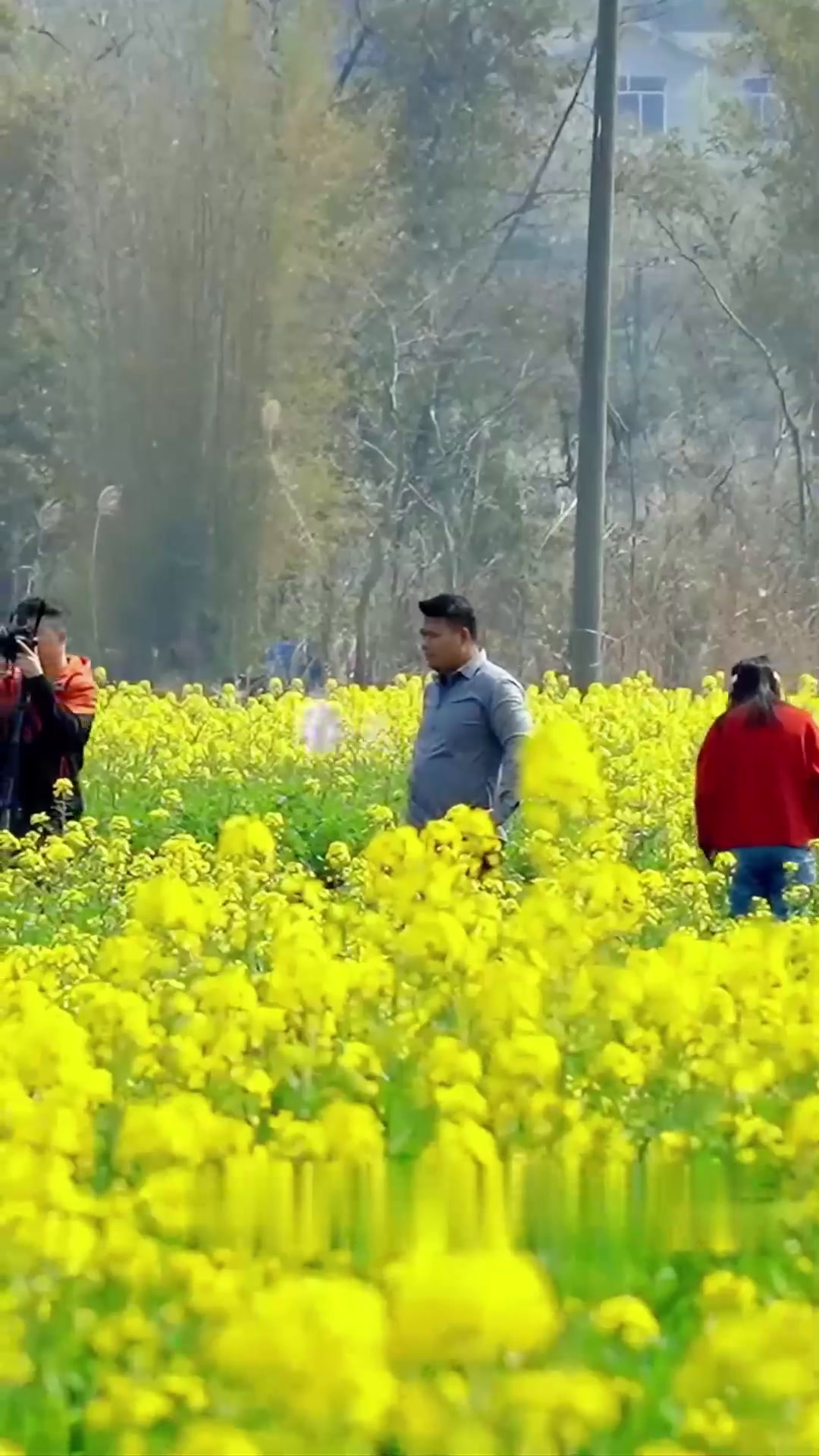 春天到了,万物复苏,又到了广西人吃野菜的季节!评论区告诉我,你最爱的野菜是什么?