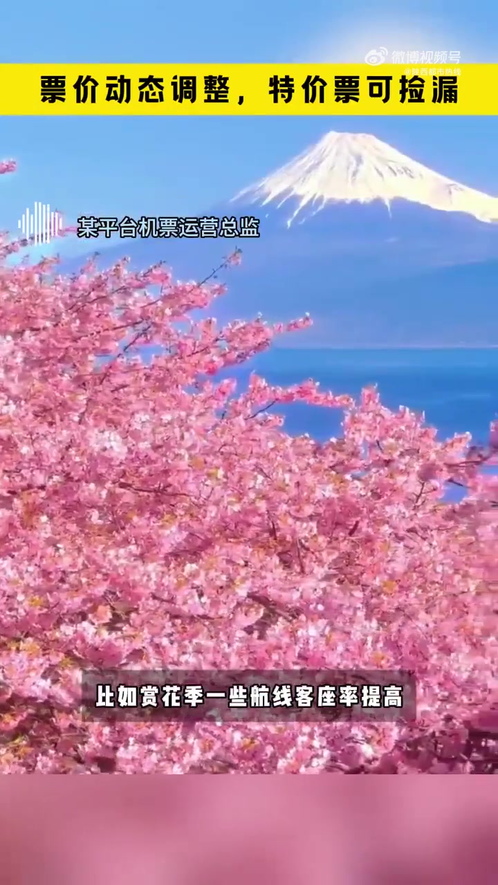 进入三月,国内各地梅花、海棠、樱花等陆续迎来花期。“追花”引燃春日旅游市场,旅行平台数据显