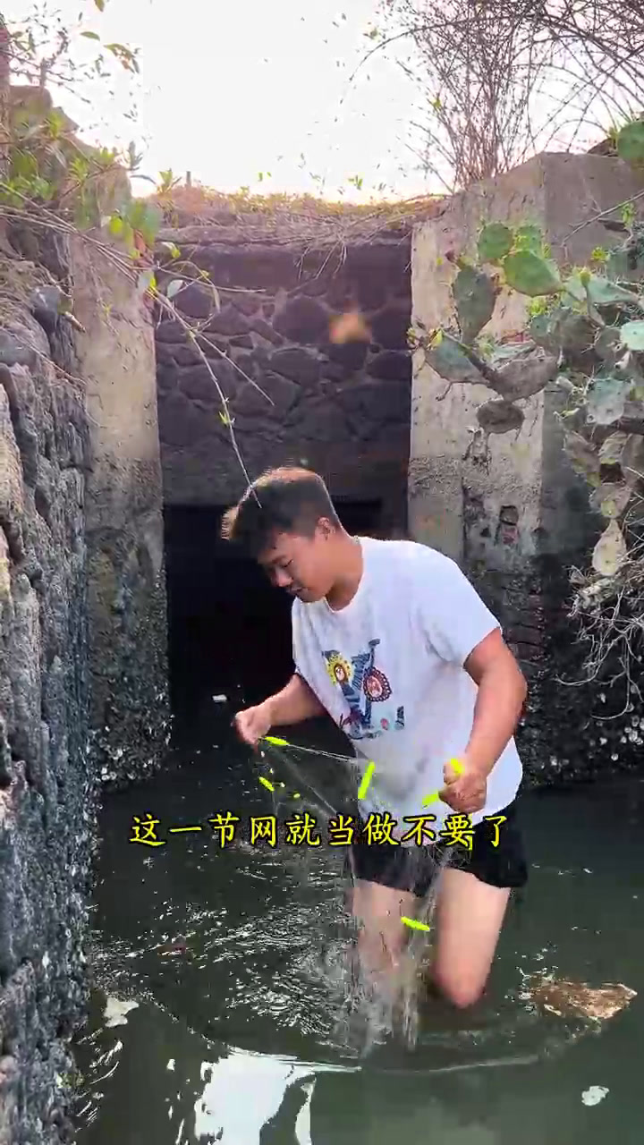 海罗非生长速度太快,那么好吃的鱼,竟然还能泛滥