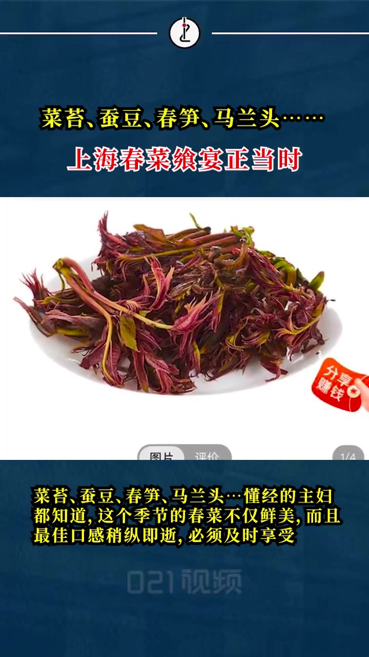 「菜苔、蚕豆、春笋、马兰头……上海菜市场最鲜嫩的季节到了」进入3月,春菜大量上市,上海菜场
