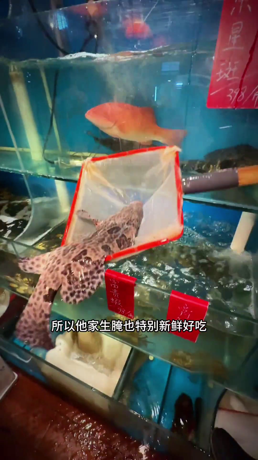 港剧里的大排档的感觉
