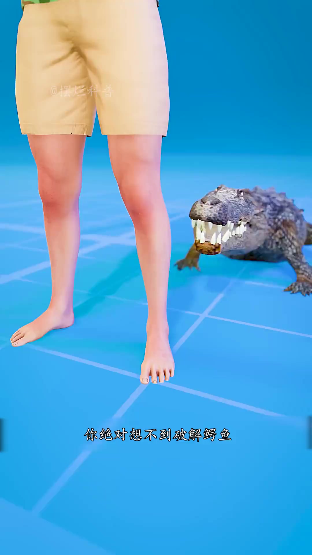 如何破解鳄鱼的死亡翻滚?