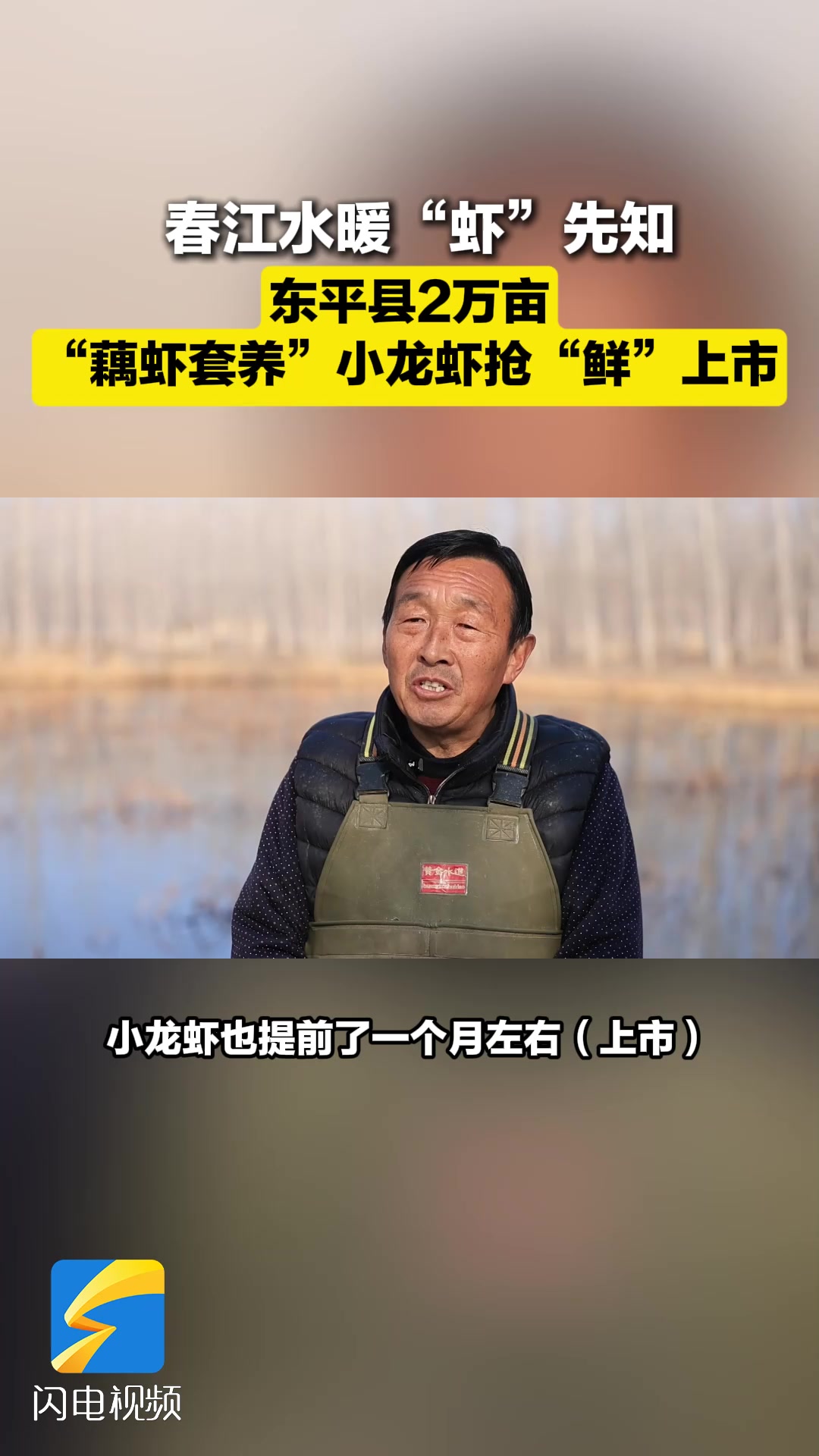 东平县:2万亩“藕虾套养”小龙虾陆续上市