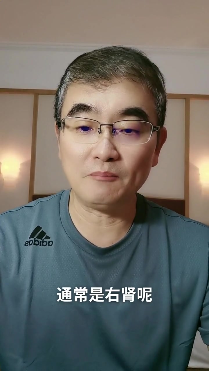 肾脏的位置在哪里?