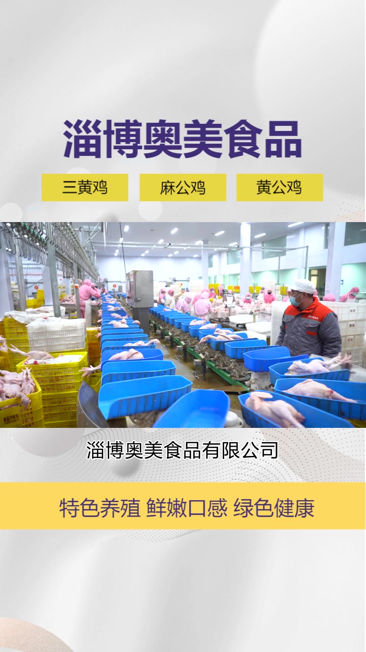 净膛三黄鸡供应商,我们注重研发创新,不断推出新品,满足市场的