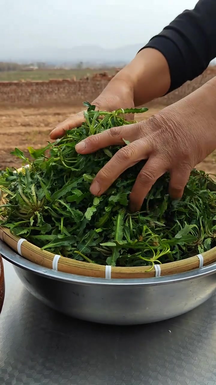 今天用荠荠菜蒸个孜卷 美的很