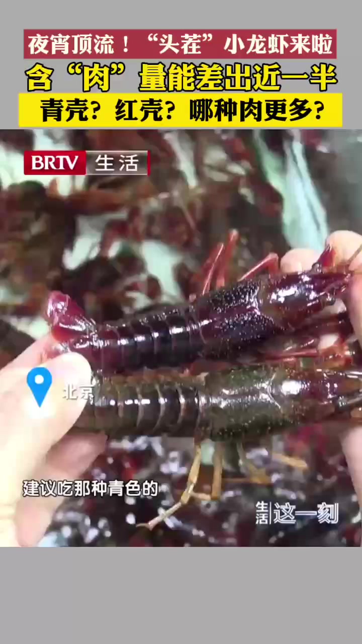 夜宵顶流!“头茬”小龙虾来啦 青壳红壳哪种颜色肉更多?