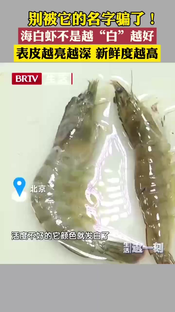 别被它的名字骗了!海白虾并非越“白”越好 颜色越亮越深越新鲜