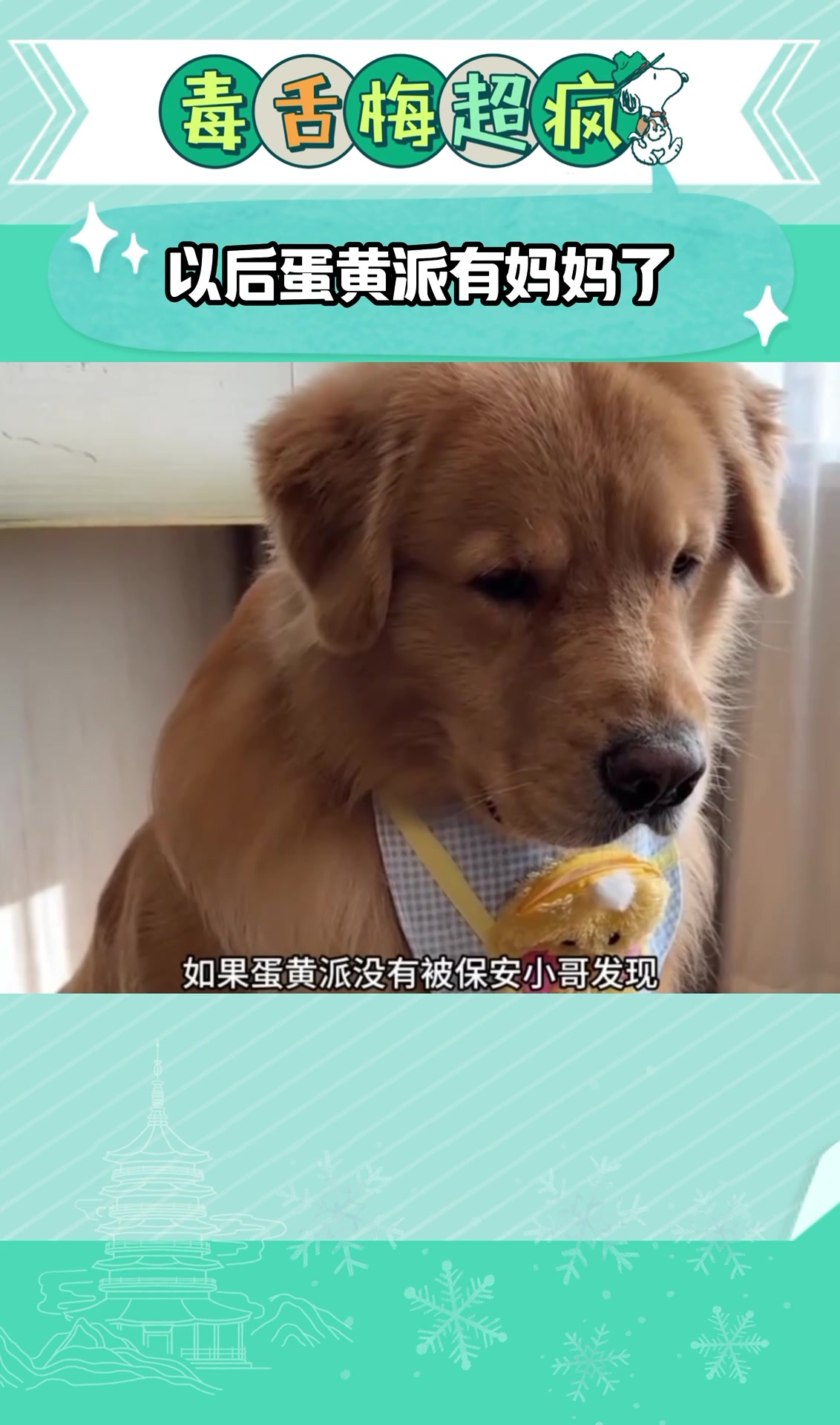 以后蛋黄派有妈妈了