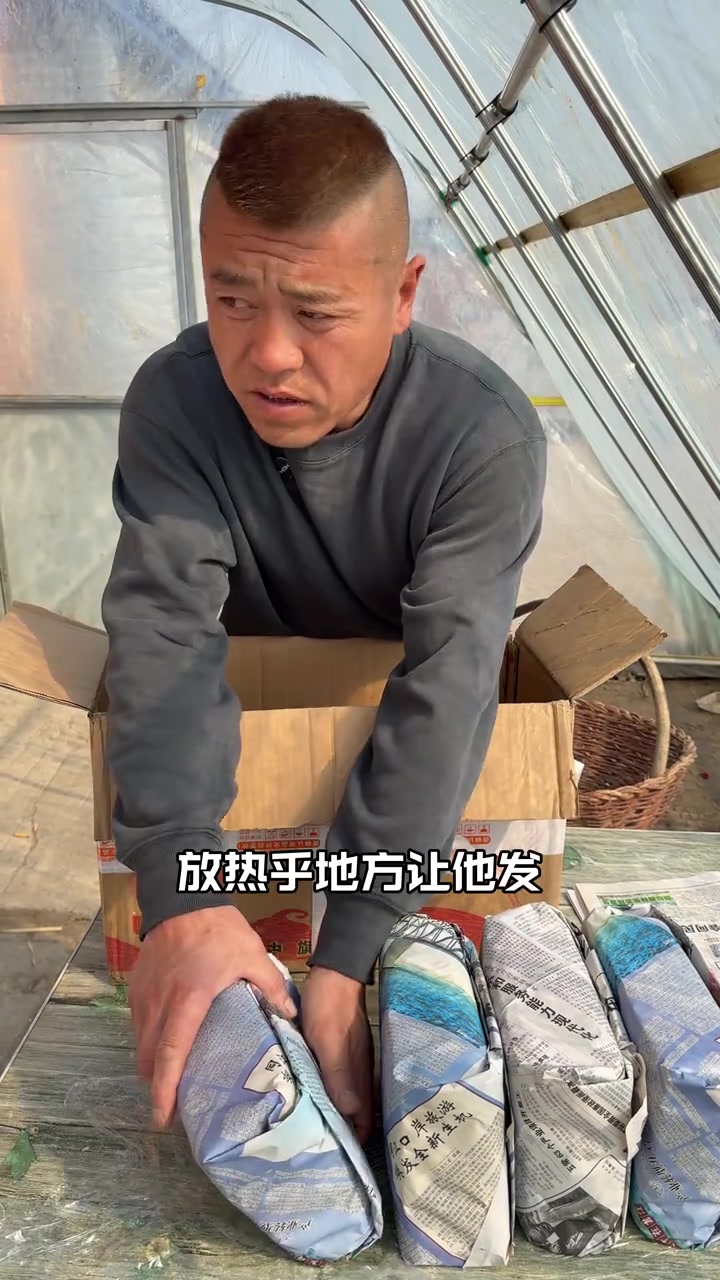 今天把大酱块包上了,做了酸菜土豆条硬挺