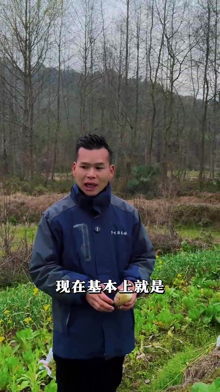 农民每家每户的绿色蔬菜不多,希望大家随便买点尝尝