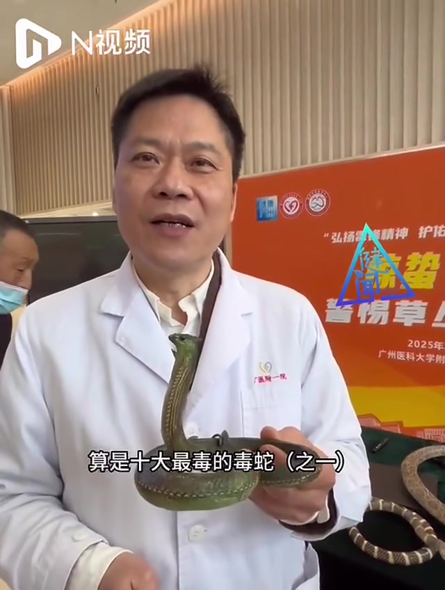 广东这五种蛇最常见 急诊科医生提醒:春季踏青需警惕蛇出没