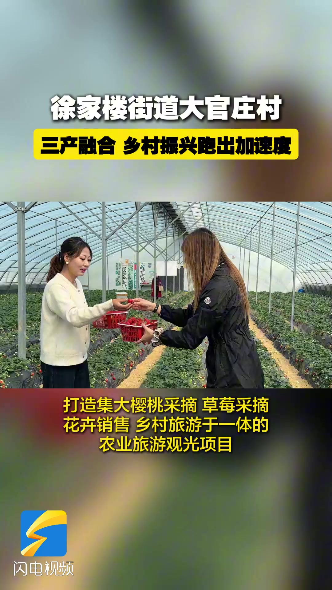 泰山区高质量发展行丨徐家楼街道大官庄村:三产融合 乡村振兴跑出加速度