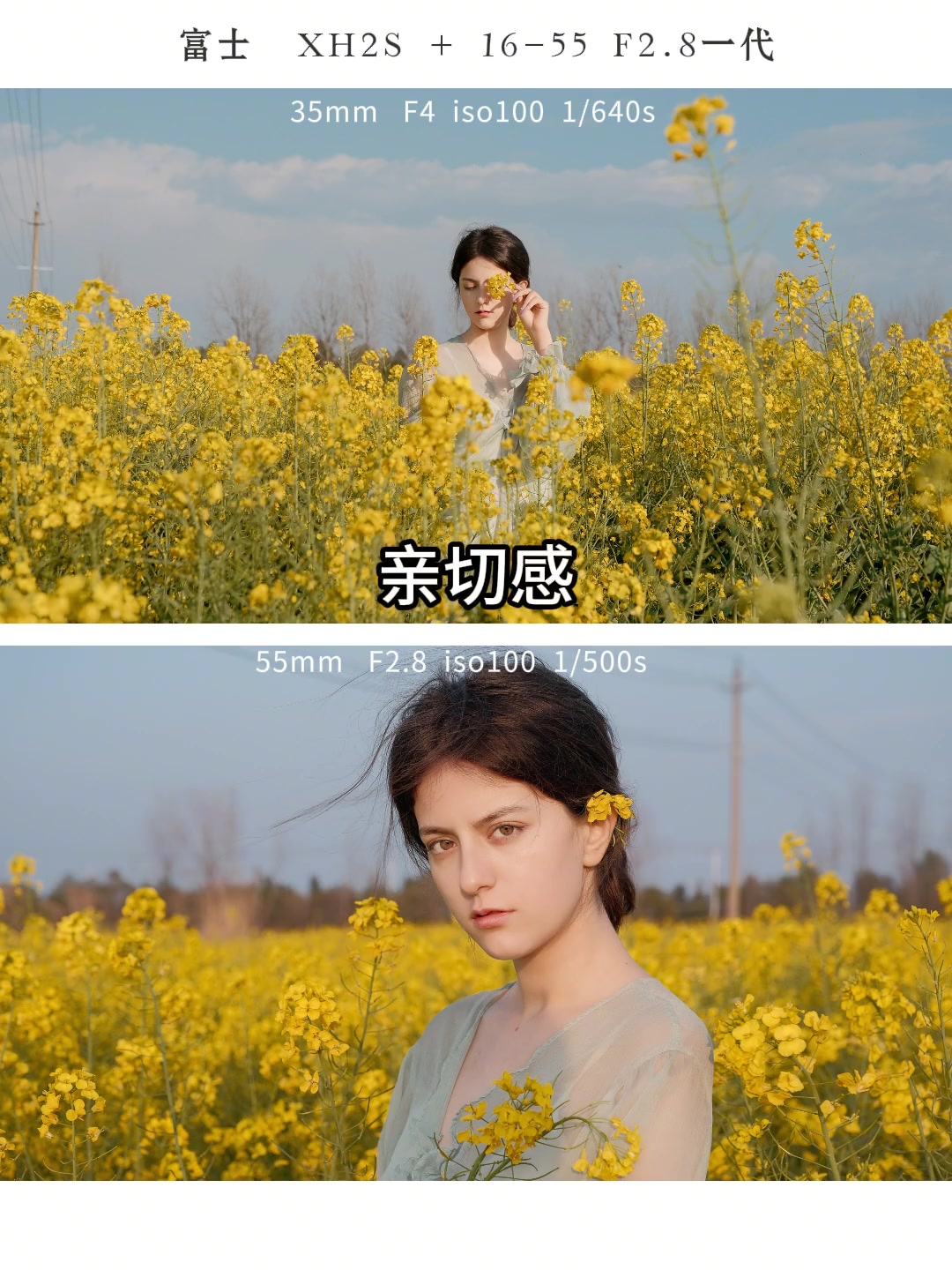 油菜花万能出片公式,春天又到了,赶紧去拍一次油菜花吧!