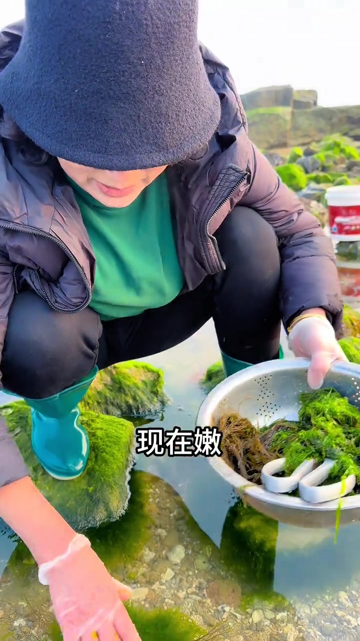 住在海边的生活就这么充实,大清早就可以喝到超级鲜嫩的海菜汤,扇贝柱遇上海菜饼,吃一次就忘不