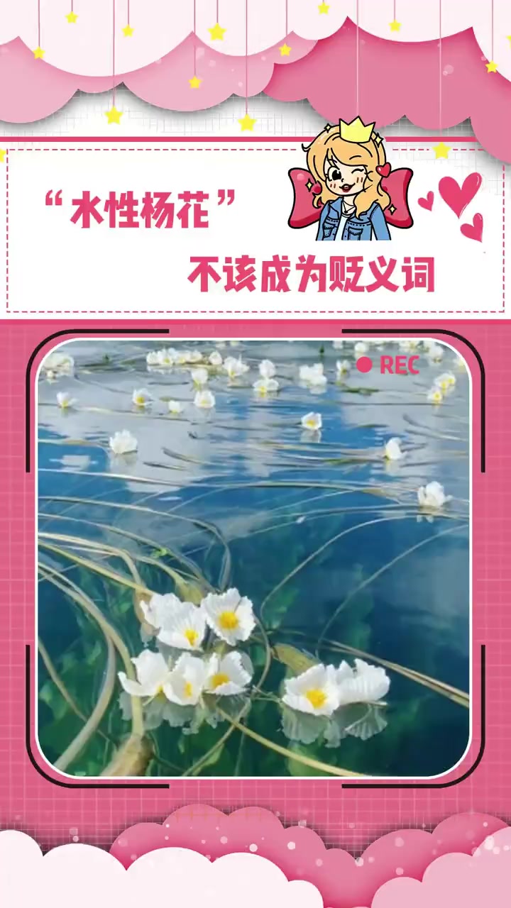 这么美的水性杨花,不该成为贬义词 水性杨花 海菜花 冷知识 万万没想到 大数据推荐给有需要