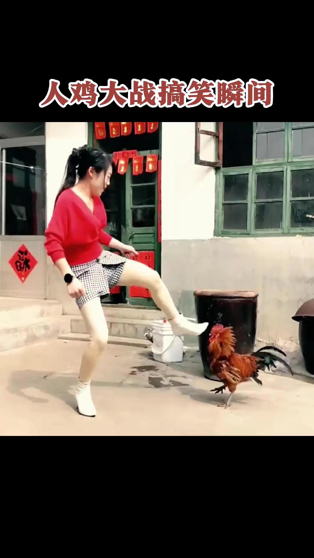 人鸡大战搞笑瞬间,不是监控真的万万没想到公鸡中的战斗机 看一