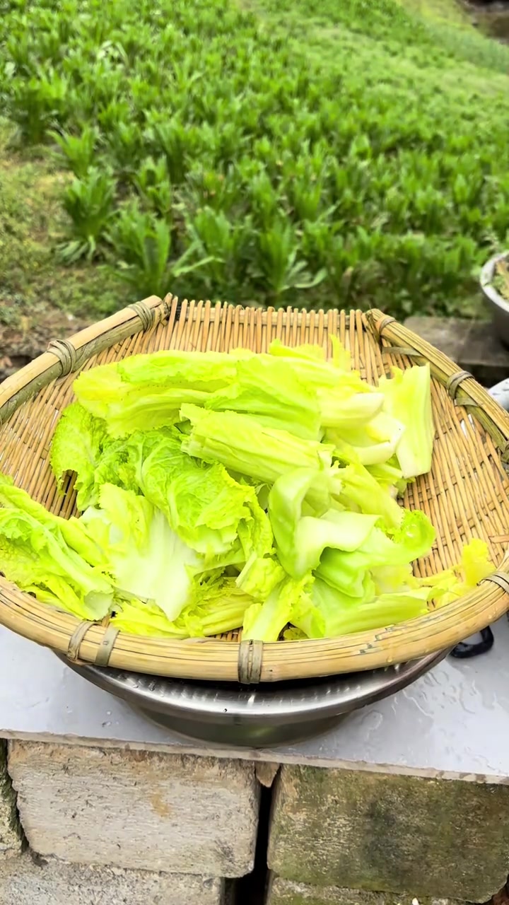 记录我的农村生活