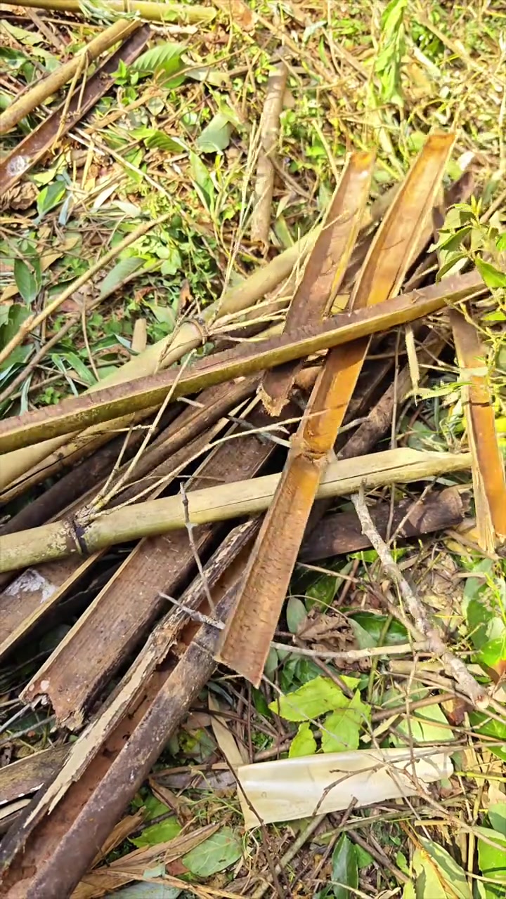 年前就准备打理的阳沟,今天终于收拾归边了,又忙完一头活计