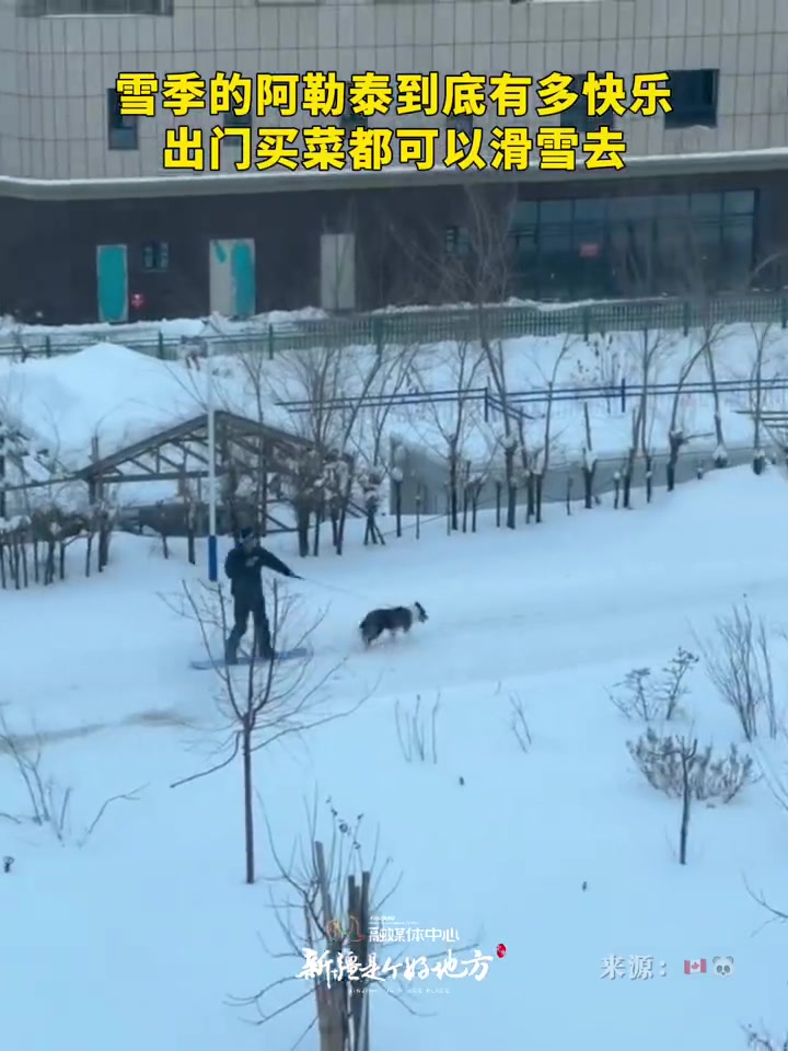 雪季的阿勒泰到底有多快乐,出门买菜都可以滑雪去。出发吧新疆