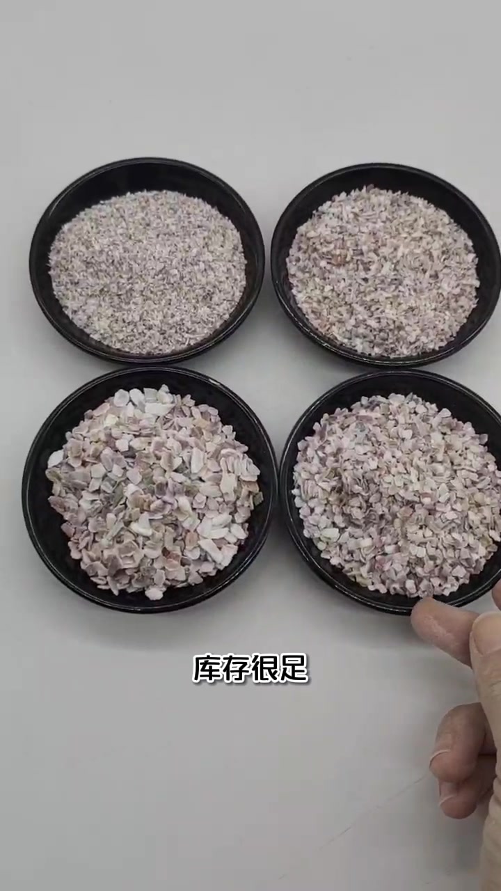 贝壳砂 贝壳碎片鱼缸造景用