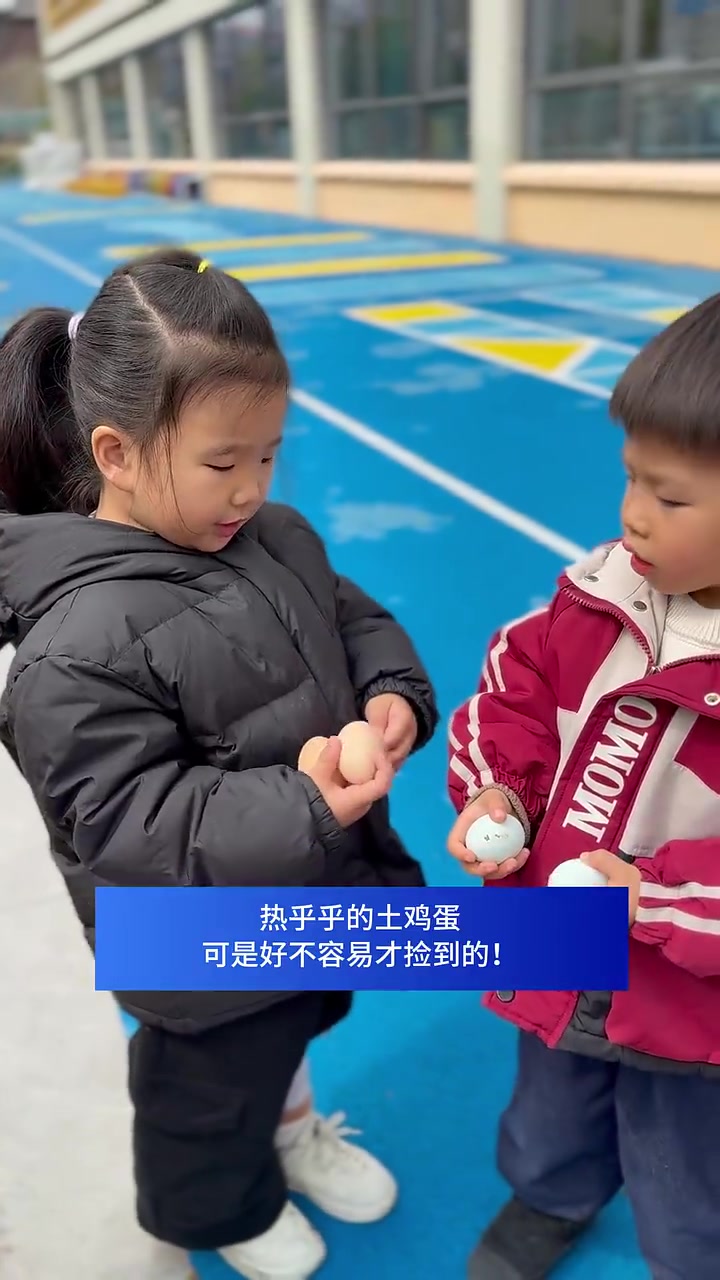 为了热乎乎的土鸡蛋,幼儿园萌娃勇闯鸡窝