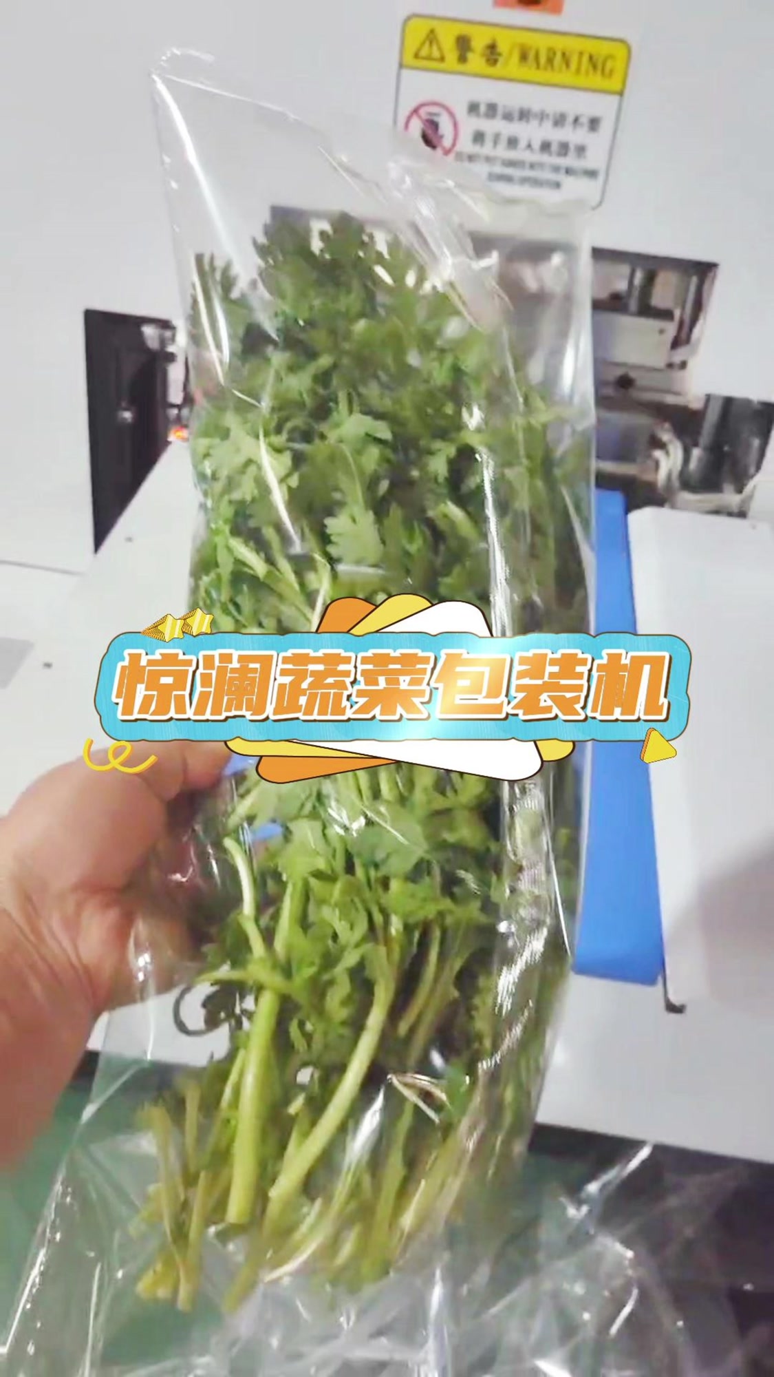 抛开技术谈包装机,简直是对蔬菜的不负责!惊澜蔬菜包装机,每分钟可包装60袋,让您轻松应对旺