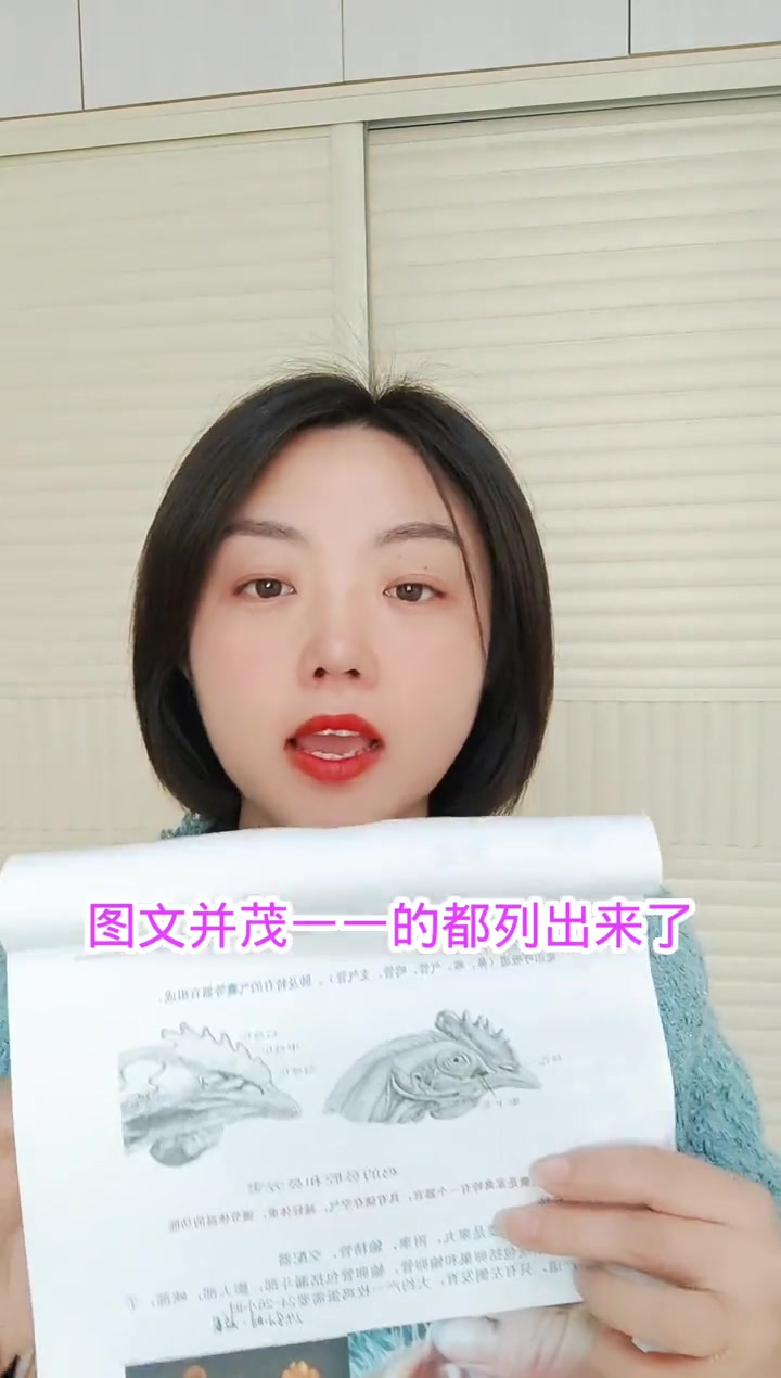 养鸡如何判断鸡病?资料大全需要的养鸡人免费领取