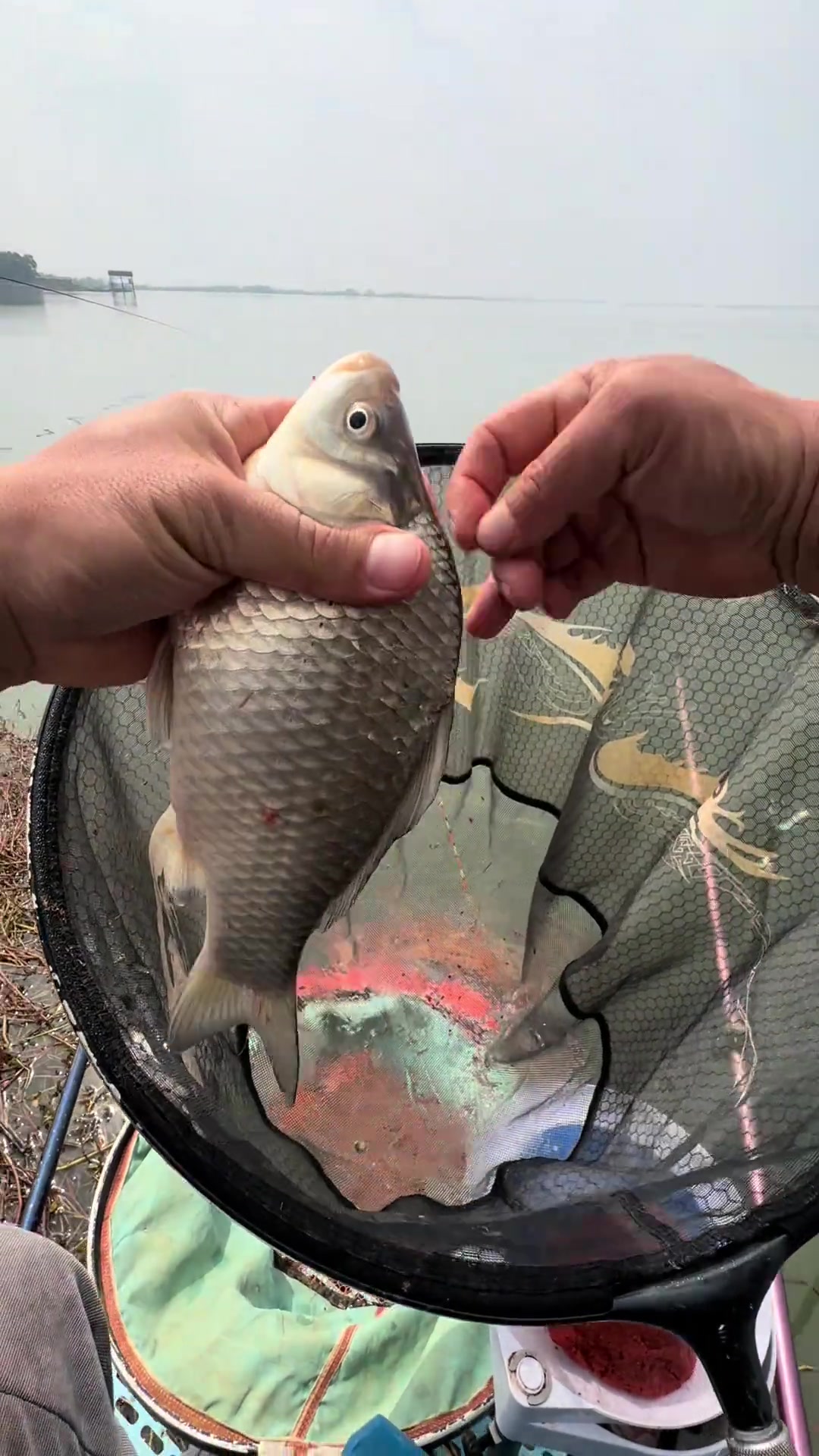 早春探钓万亩大湖,被炮杆围剿,选择浅水位置,竟然斤鲫连杆爆护