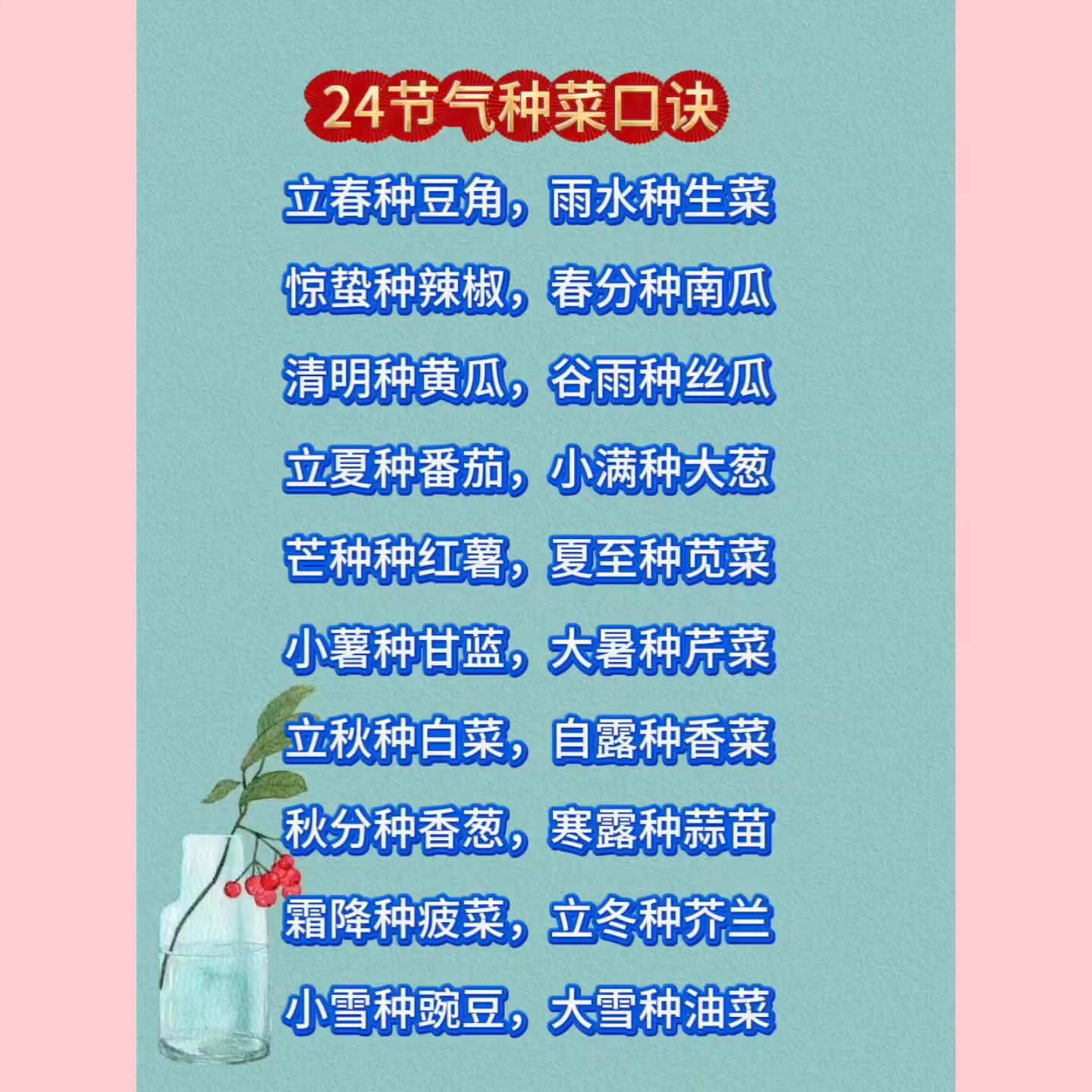 蔬菜什么时候种你都知道吗?每天分享种植知识,服务三农蔬菜种植