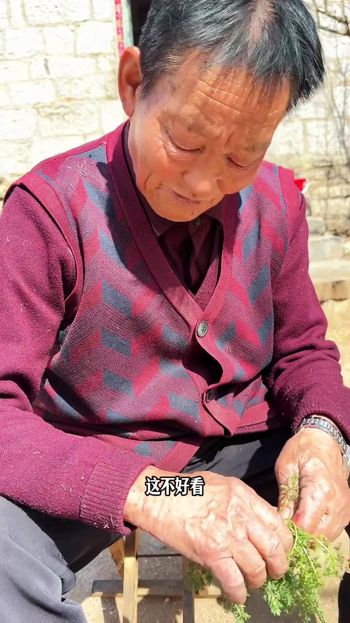 山东人的春天是从一顿野菜开始的